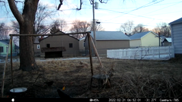 &nbsp;&nbsp;2022.02.21 06.51.52 squirrel tag and woodpecker sounds.MOV (214 MB)&nbsp;&nbsp;