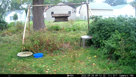 &nbsp;&nbsp;2022.09.24 09.12.22 downy geting sunflower.MOV (214 MB)&nbsp;&nbsp;