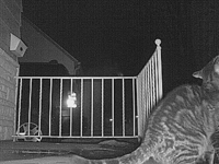 &nbsp;&nbsp;2008.10.20 13.39.46.MOV (18 MB)&nbsp;&nbsp;