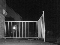 &nbsp;&nbsp;2008.10.21 13.53.30 cat4.MOV (18 MB)&nbsp;&nbsp;