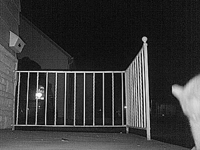 &nbsp;&nbsp;2008.10.25 18.54.36 cat7.MOV (18 MB)&nbsp;&nbsp;