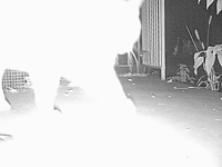 &nbsp;&nbsp;2015.10.21 19.00.36 porch cat4.MOV (18 MB)&nbsp;&nbsp;