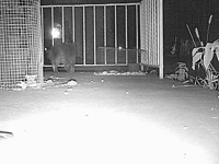 &nbsp;&nbsp;2015.10.23 02.06.18 porch cat5.MOV (19 MB)&nbsp;&nbsp;