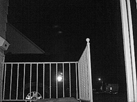 &nbsp;&nbsp;2016.01.20 20.54.42 porchcat1.MOV (33 MB)&nbsp;&nbsp;