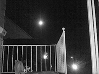 &nbsp;&nbsp;2016.01.23 19.20.40 porchcat3.MOV (35 MB)&nbsp;&nbsp;