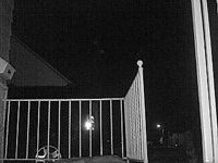 &nbsp;&nbsp;2016.01.25 02.18.44 porchcat5.MOV (35 MB)&nbsp;&nbsp;