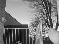 &nbsp;&nbsp;2016.02.27 05.23.54 cat4.MOV (15 MB)&nbsp;&nbsp;