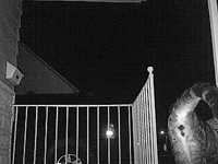 &nbsp;&nbsp;2016.02.28 21.52.50 cat6.MOV (18 MB)&nbsp;&nbsp;