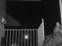 &nbsp;&nbsp;2016.03.03 23.56.24 cat7.MOV (18 MB)&nbsp;&nbsp;