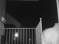 &nbsp;&nbsp;2016.03.04 18.27.24 cat8.MOV (17 MB)&nbsp;&nbsp;