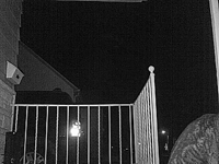 &nbsp;&nbsp;2016.03.06 21.39.18 cat12.MOV (17 MB)&nbsp;&nbsp;