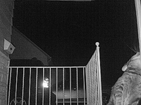 &nbsp;&nbsp;2016.03.08 02.45.52 cat13.MOV (17 MB)&nbsp;&nbsp;