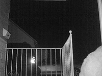 &nbsp;&nbsp;2016.03.08 03.24.24 cat14.MOV (18 MB)&nbsp;&nbsp;