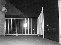 &nbsp;&nbsp;2016.03.17 01.52.06 cat2.MOV (17 MB)&nbsp;&nbsp;