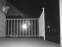 &nbsp;&nbsp;2016.03.19 02.16.56 cat3.MOV (17 MB)&nbsp;&nbsp;