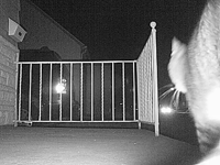 &nbsp;&nbsp;2016.03.22 19.39.30 cat4.MOV (16 MB)&nbsp;&nbsp;