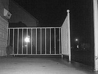 &nbsp;&nbsp;2016.03.31 01.23.52 cat12.MOV (18 MB)&nbsp;&nbsp;