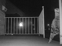 &nbsp;&nbsp;2016.03.31 20.33.30 cat13.mp4 (3 MB)&nbsp;&nbsp;