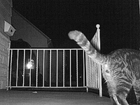 &nbsp;&nbsp;2016.04.08 01.08.54.MOV (18 MB)&nbsp;&nbsp;