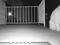 &nbsp;&nbsp;2016.04.12 04.31.24.MOV (10 MB)&nbsp;&nbsp;