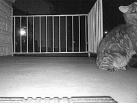 &nbsp;&nbsp;2016.04.12 04.42.46.MOV (14 MB)&nbsp;&nbsp;