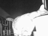 &nbsp;&nbsp;2016.04.19 01.37.54.MOV (25 MB)&nbsp;&nbsp;