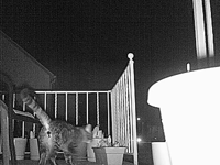 &nbsp;&nbsp;2016.04.21 21.43.30.MOV (30 MB)&nbsp;&nbsp;