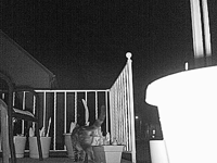 &nbsp;&nbsp;2016.04.23 21.06.38.MOV (30 MB)&nbsp;&nbsp;