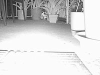 &nbsp;&nbsp;2016.06.02 00.04.52 cat2.MOV (10 MB)&nbsp;&nbsp;