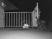 &nbsp;&nbsp;2017.03.16 23.12.22 rub cat.MOV (18 MB)&nbsp;&nbsp;