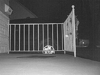 &nbsp;&nbsp;2017.01.23 17.59.02 high vis mailman.MOV (16 MB)&nbsp;&nbsp;