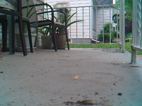 &nbsp;&nbsp;2008.10.15 18.30.56 squirrel beats fence2.MOV (5 MB)&nbsp;&nbsp;