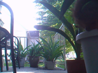 &nbsp;&nbsp;2008.10.20 00.29.50 squirrel.MOV (8 MB)&nbsp;&nbsp;