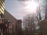 &nbsp;&nbsp;2016.04.14 08.57.00 squirrel digging in pots.MOV (3 MB)&nbsp;&nbsp;