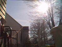 &nbsp;&nbsp;2016.04.14 09.00.38 squirrel rummaging.MOV (2 MB)&nbsp;&nbsp;