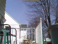 &nbsp;&nbsp;2016.04.14 15.20.54 squirrel digging in pots.MOV (5 MB)&nbsp;&nbsp;