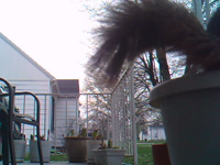 &nbsp;&nbsp;2016.04.20 07.03.00.MOV (10 MB)&nbsp;&nbsp;