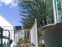 &nbsp;&nbsp;2016.05.02 14.36.40 squirrel.MOV (17 MB)&nbsp;&nbsp;