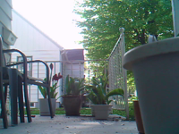 &nbsp;&nbsp;2016.05.13 10.16.50.MOV (8 MB)&nbsp;&nbsp;