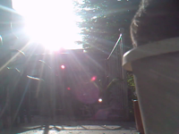 &nbsp;&nbsp;2016.05.16 07.49.10 suirrel sending dirt flying.MOV (3 MB)&nbsp;&nbsp;