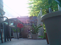 &nbsp;&nbsp;2016.05.19 06.57.28.MOV (6 MB)&nbsp;&nbsp;