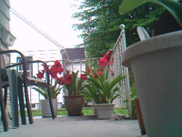 &nbsp;&nbsp;2016.05.25 09.36.50.MOV (8 MB)&nbsp;&nbsp;