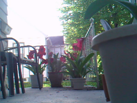 &nbsp;&nbsp;2016.05.26 09.08.16.MOV (8 MB)&nbsp;&nbsp;