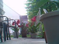 &nbsp;&nbsp;2016.05.26 10.13.06.MOV (8 MB)&nbsp;&nbsp;