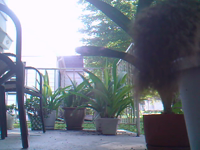 &nbsp;&nbsp;2016.08.24 10.08.00.MOV (7 MB)&nbsp;&nbsp;