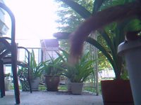 &nbsp;&nbsp;2016.08.24 10.19.10.MOV (8 MB)&nbsp;&nbsp;