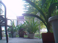 &nbsp;&nbsp;2016.08.24 10.21.24.MOV (9 MB)&nbsp;&nbsp;