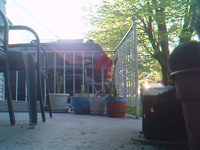 &nbsp;&nbsp;2017.05.06 06.54.14 SUNP0045 squirrel.MOV (4 MB)&nbsp;&nbsp;