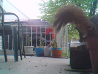 &nbsp;&nbsp;2017.05.07 09.44.48 SUNP0053 squirrel.MOV (3 MB)&nbsp;&nbsp;