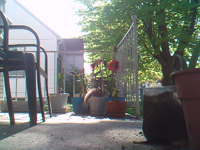 &nbsp;&nbsp;2017.05.12 08.32.44 SUNP0089 squirrel.MOV (5 MB)&nbsp;&nbsp;
